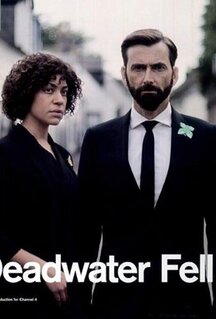 Сериал Падение в мёртвые воды (2020)