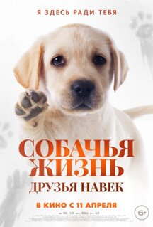 Собачья жизнь: Друзья навек