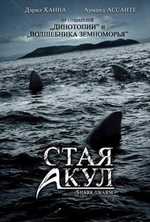 Фильм Стая акул (2008)
