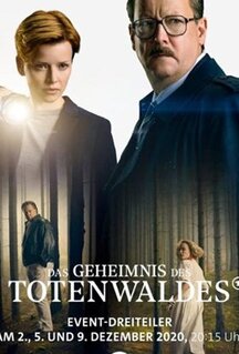 Сериал Тёмный лес (2020)