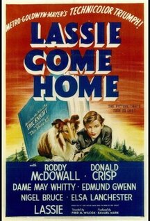 Фильм Лесси возвращается домой (1943)