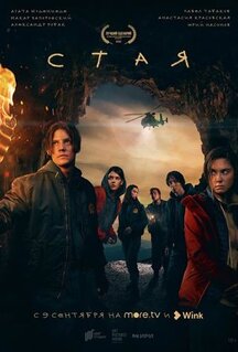 Сериал Стая (2022)