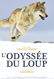 Фильм Путешествие волка (2019)
