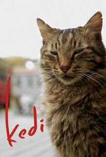 Фильм Город кошек (2016)