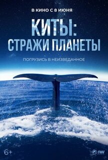 Фильм Киты: Стражи планеты (2023)