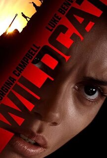 Фильм Дикая кошка (2021)