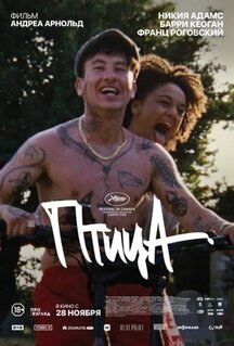 Фильм Птица (2024)