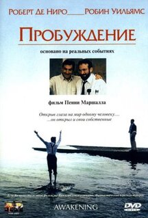 Фильм Пробуждение (1990)