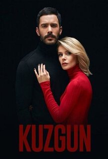 Сериал Ворон (2019)