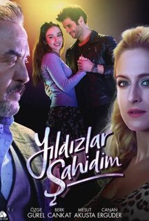 Сериал Звезды - мои свидетели (2017)