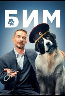 Сериал БиМ (2021)