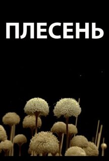 Фильм Плесень (2009)
