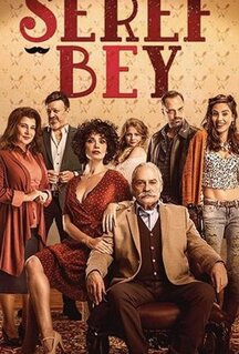 Сериал Уважаемый господин (2021)