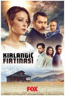 Сериал Шторм ласточки (2017)