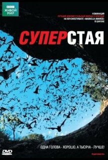 Фильм BBC: Суперстая (2009)
