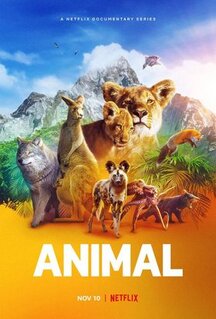 Сериал Удивительные животные (2021)