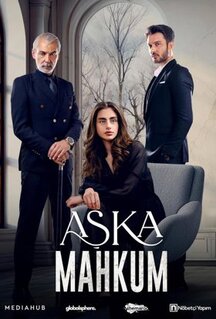 Сериал Заключенный любви (2025)
