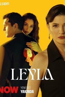 Сериал Лейла: Жизнь Любовь Справедливость (2024)