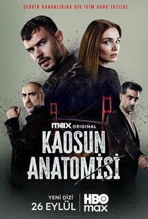 Сериал Анатомия хаоса (2025)