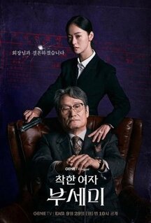 Сериал Госпожа Инкогнито (2025)