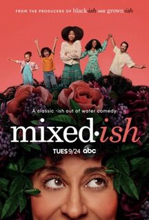 Сериал Разноцветная комедия (2019)