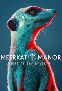 Сериал Meerkat Manor: Rise of the Dynasty (2021)