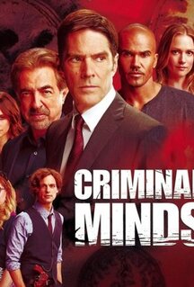 Сериал Мыслить как преступник (2005)