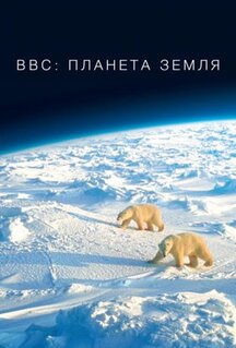 Сериал BBC: Планета Земля (2006)