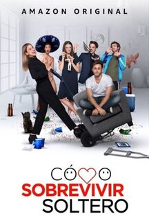 Сериал Как выжить, будучи одиноким (2020)