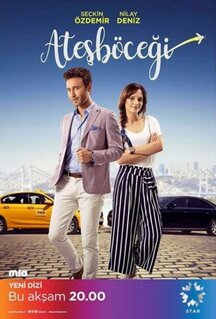 Сериал Светлячок (2017)