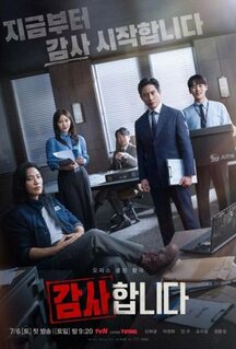 Сериал Аудиторы (2024)