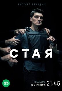 Сериал Стая (2022)