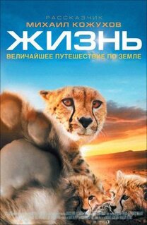 Фильм Жизнь (2011)