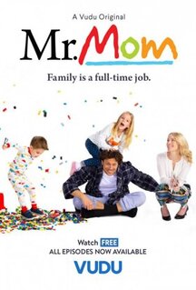 Сериал Мистер мамочка (2019)