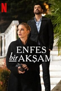 Сериал Восхитительный вечер (2025)