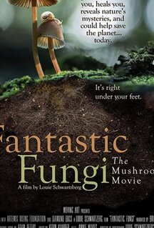 Фильм Фантастические грибы (2019)