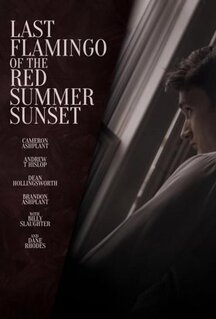 Фильм Последний фламинго красного летнего заката (2024)