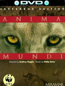 Фильм Душа мира (1991)