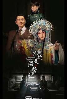 Сериал Зимняя бегония (2020)
