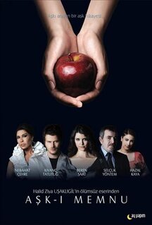 Сериал Запретная любовь (2008)