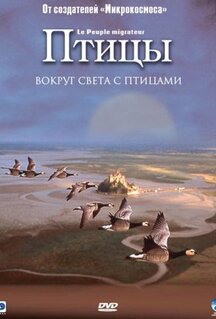 Фильм Птицы (2001)