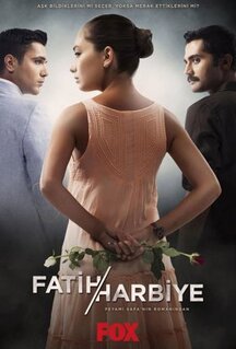 Сериал Два лица Стамбула (2013)