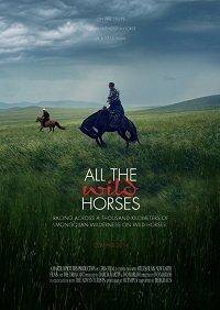 Фильм All the Wild Horses (2017)