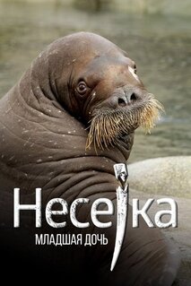 Фильм Несейка. Младшая дочь (2018)