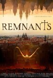 Remnants