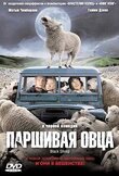 Паршивая овца