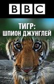 BBC: Тигр - шпион джунглей
