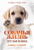 Собачья жизнь: Друзья навек