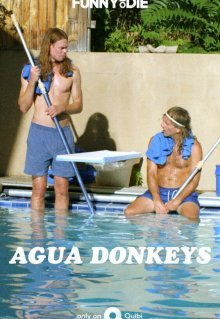 Agua Donkeys