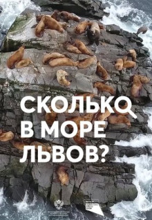 Фильм Сколько в море львов? (2018)